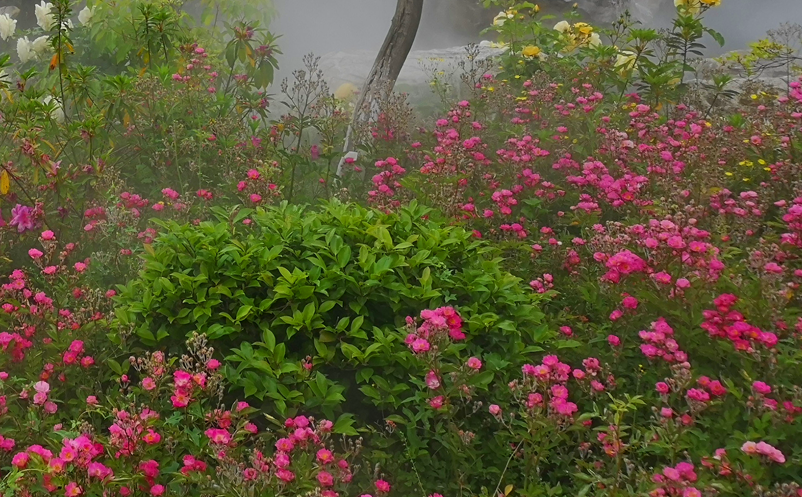 1640150337222480.png image.png