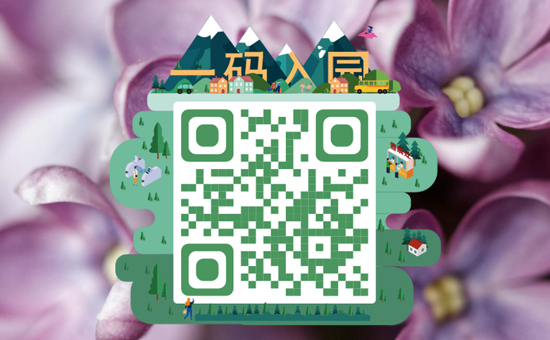电子票务系统 电子票务系统