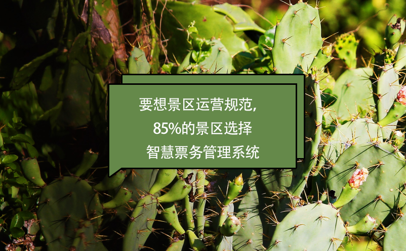 要想景区运营规范，85%的景区选择智慧雷竞技进去都是彩票