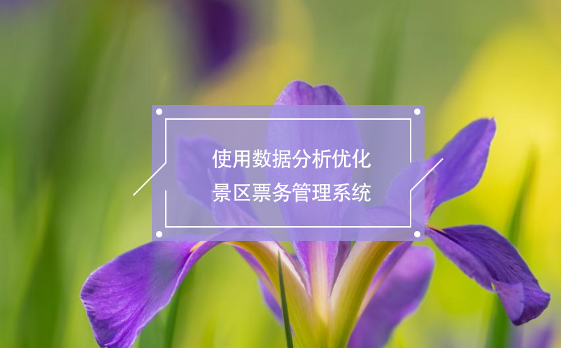 使用数据分析优化景区雷竞技进去都是彩票