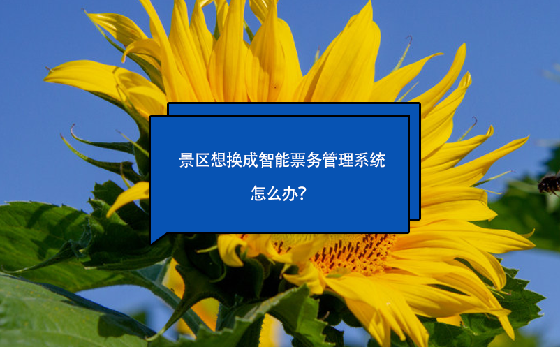 景区想换成智能雷竞技进去都是彩票怎么办？