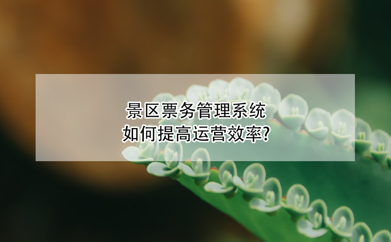 景区雷竞技进去都是彩票如何提高运营效率?