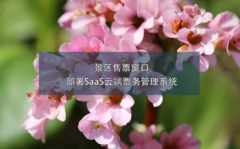 景区售票窗口部署SaaS云端雷竞技进去都是彩票