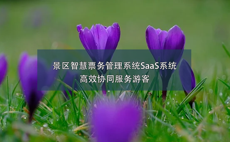 景区智慧雷竞技进去都是彩票SaaS系统：高效协同服务游客