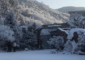 滑雪租赁一卡通系统百度雷竞技官网：大围山冰雪运动中心