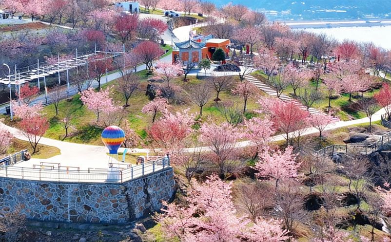 花海景区票务系统 售检票管理软件